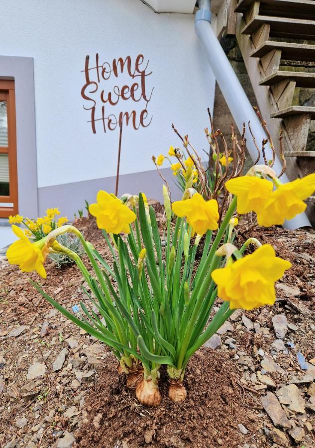 Daffodils Villa Enscherange Luaran gambar
